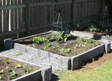 Kwikfynd Organic Gardening
rosabrook